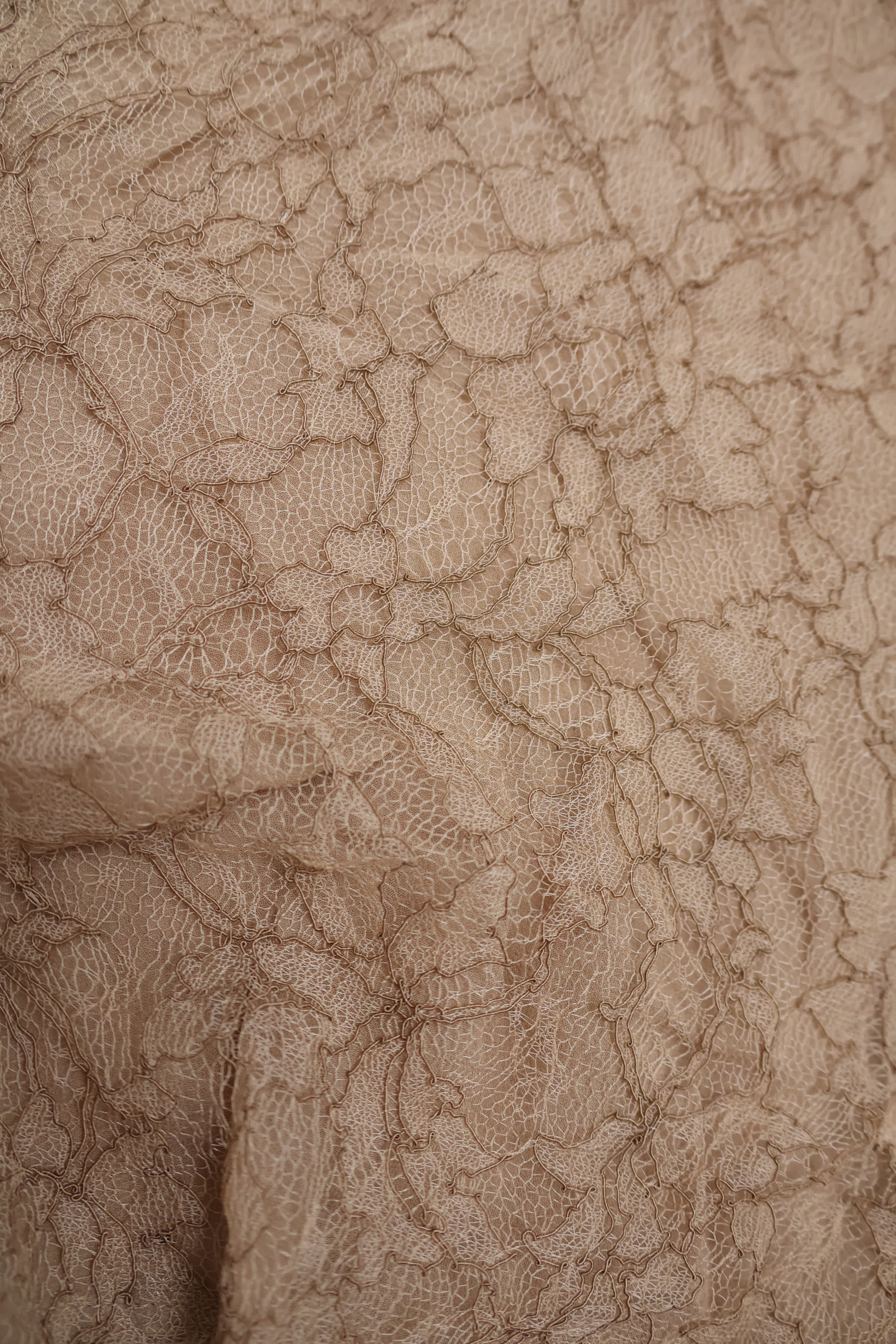 Genny Nude Lace Cami Top